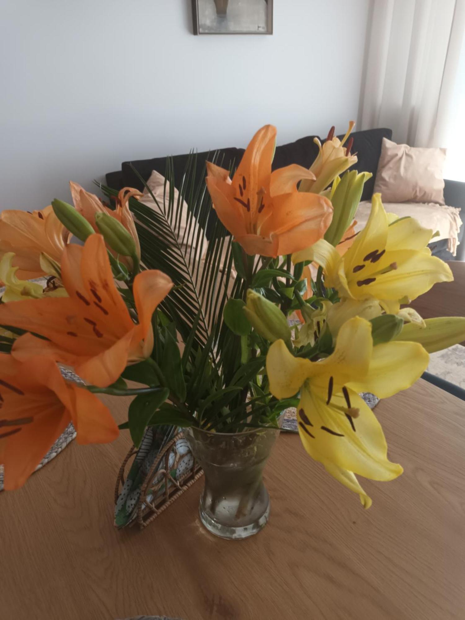 Apartament Lilla 2 Jelení Hora Exteriér fotografie